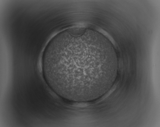 X0000101111083200807101504