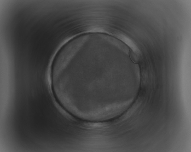X0000101111084200807101504