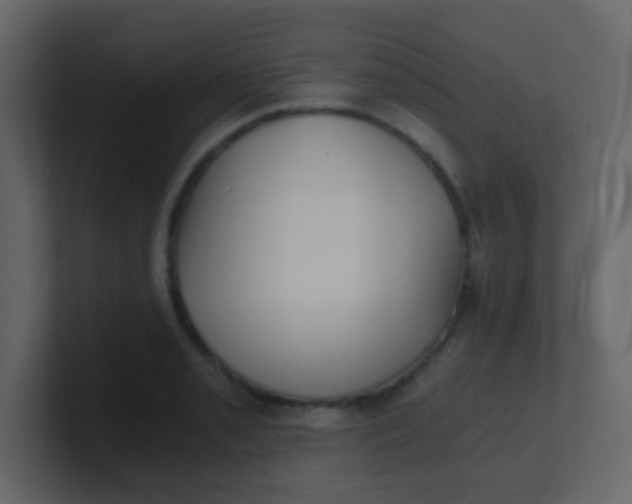 X0000101111085200807101504