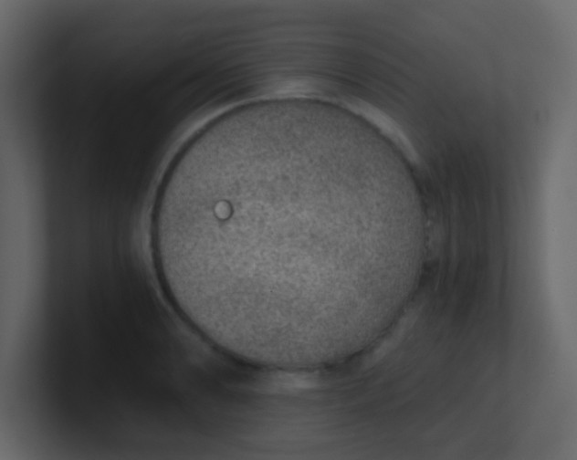X0000101111086200807101504
