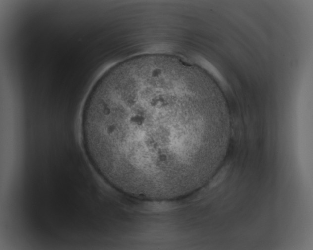 X0000101111087200807101504