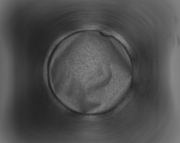 X0000101111088200807101504