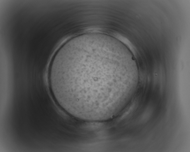 X0000101111090200807101504