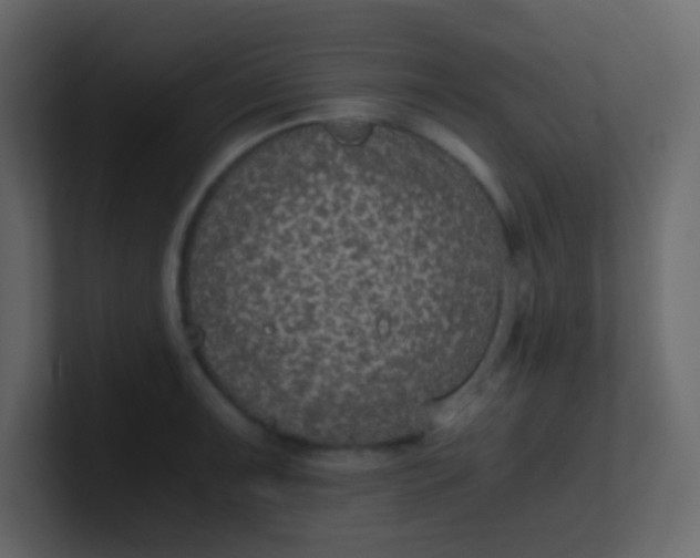 X0000101111091200807101504