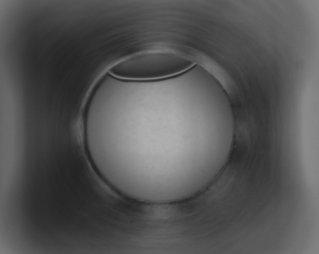 X0000101111092200807101504