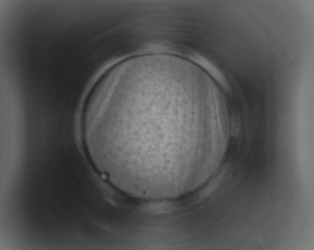 X0000101111094200807101504