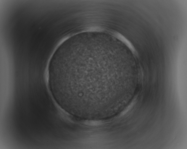 X0000101111095200807101504