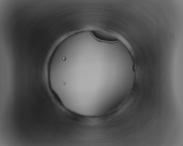 X0000101111096200807101503