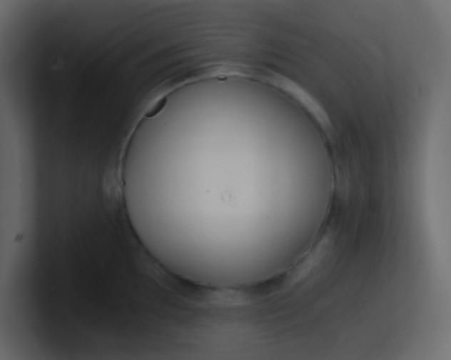 X0000101111097200807101503