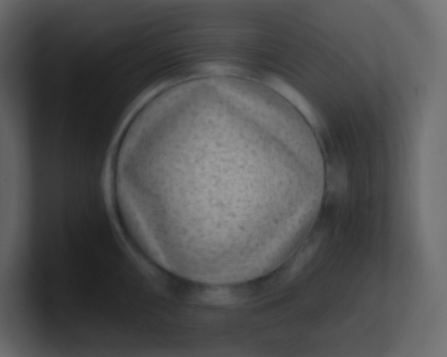 X0000101111098200807101503