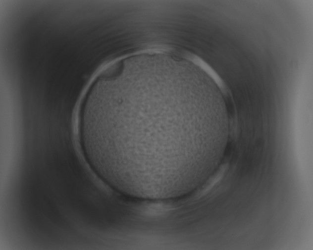 X0000101111099200807101503