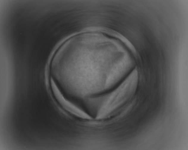 X0000101111102200807101503