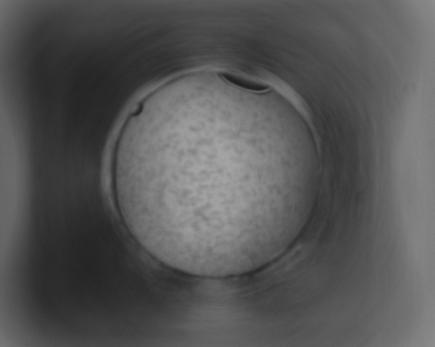X0000101111104200807101503