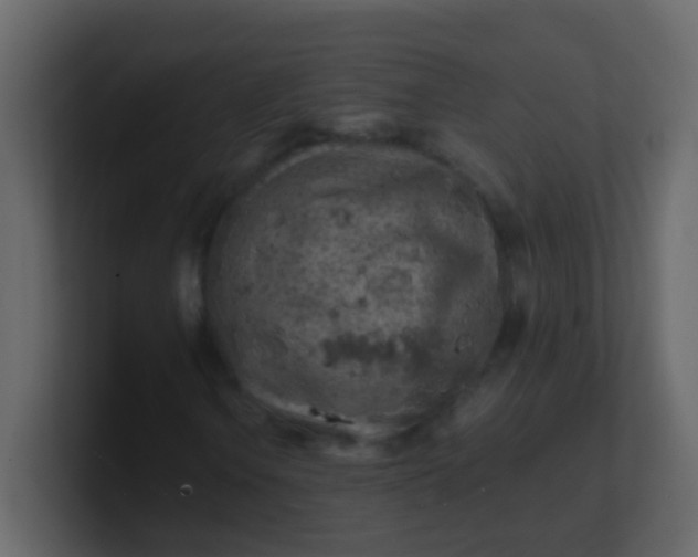 X0000101111106200807101503
