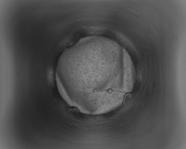 X0000101111108200807101503