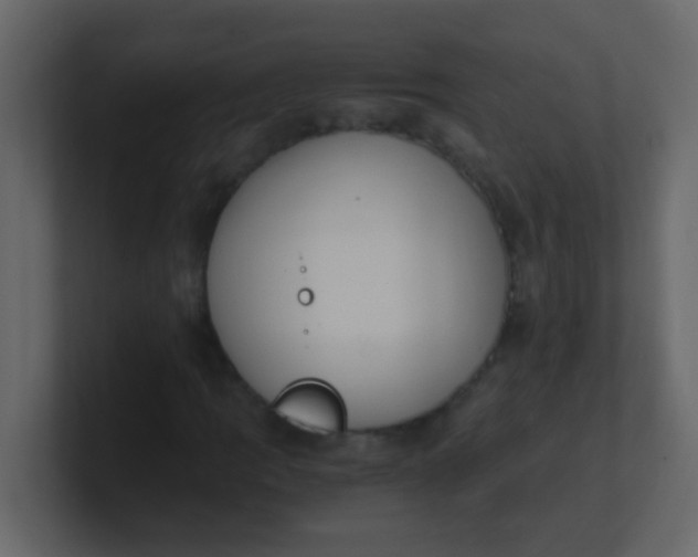 X0000101111109200807101503