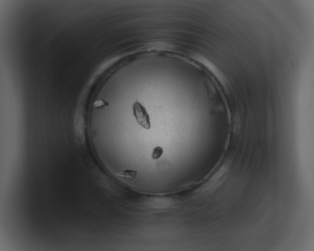 X0000101111115200807101503