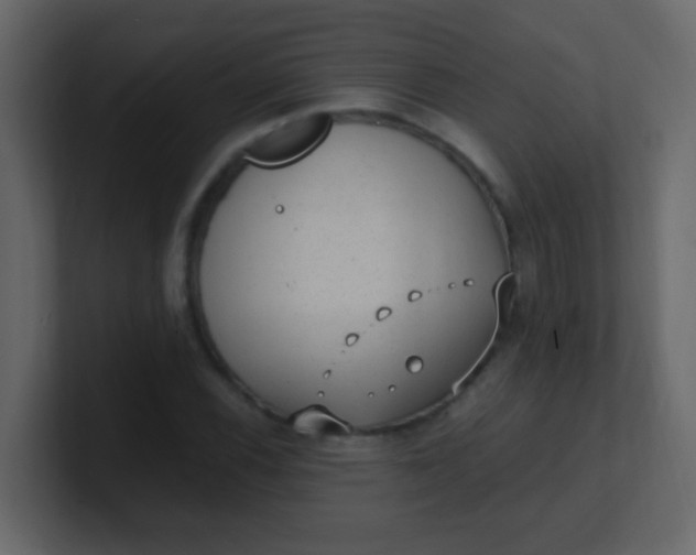 X0000101111116200807101503