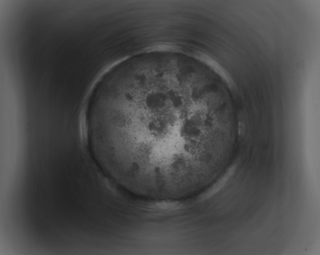 X0000101111117200807101503
