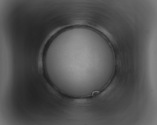 X0000101111118200807101503