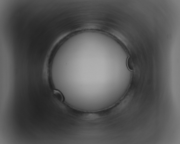 X0000101111119200807101503
