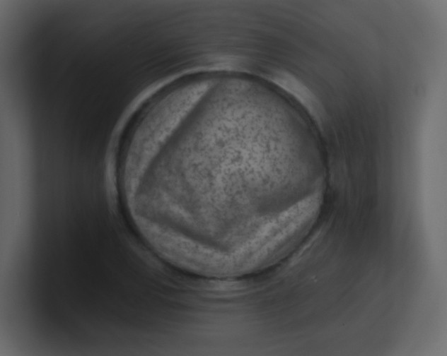 X0000101111120200807101503