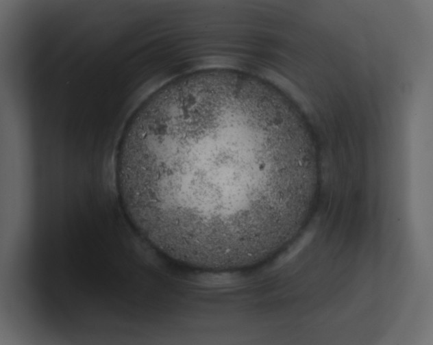 X0000101111121200807101503