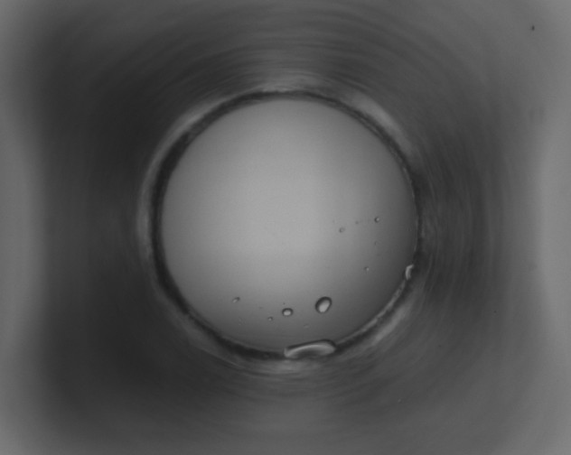X0000101111122200807101503