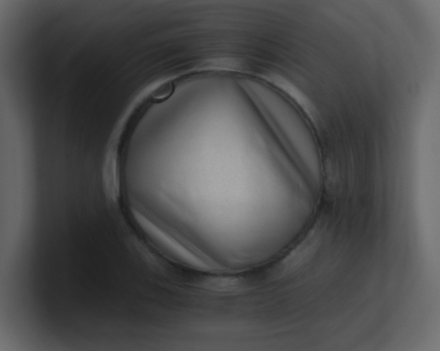 X0000101111123200807101503
