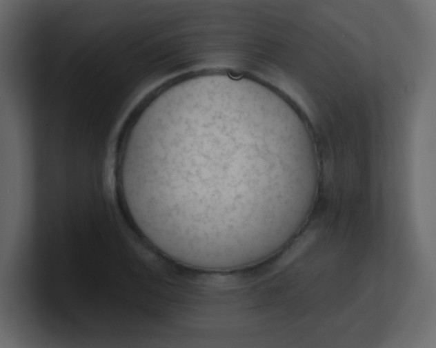 X0000101111124200807101503