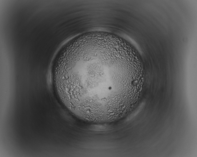 X0000101111125200807101503