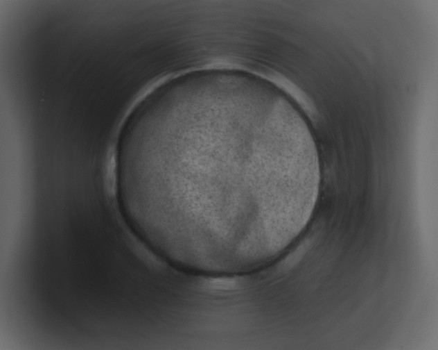 X0000101111126200807101503