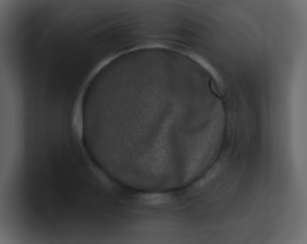 X0000101111127200807101503