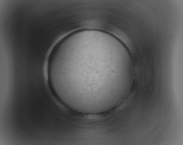 X0000101111128200807101503
