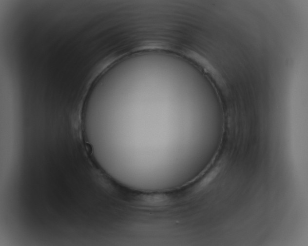 X0000101111129200807101503