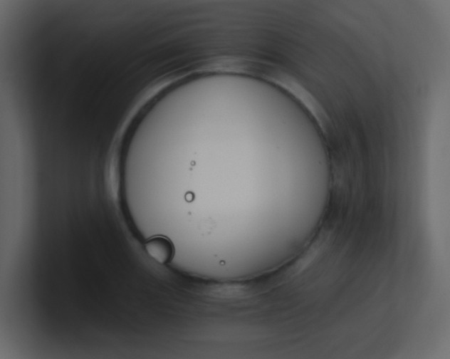 X0000101111131200807101503