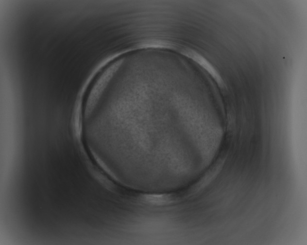 X0000101111132200807101503