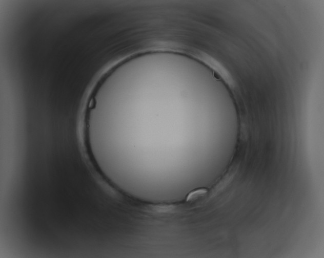 X0000101111136200807101503