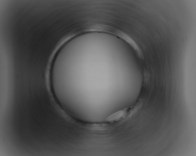 X0000101111138200807101503