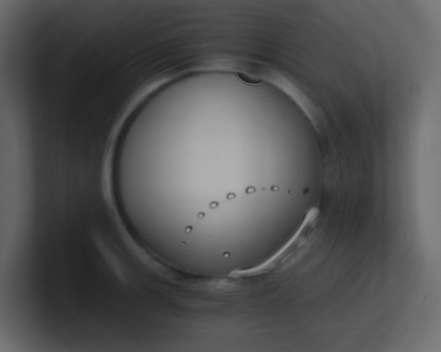 X0000101111139200807101503