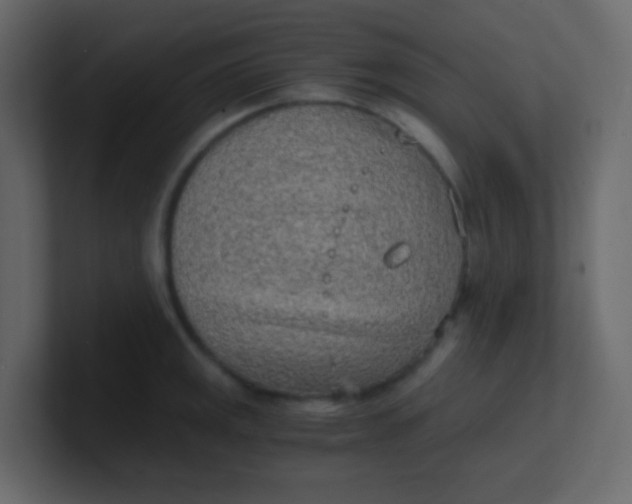 X0000101111141200807101503