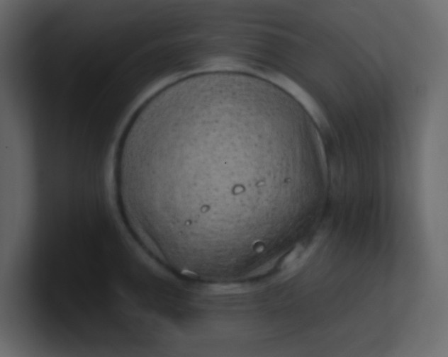 X0000101111142200807101503