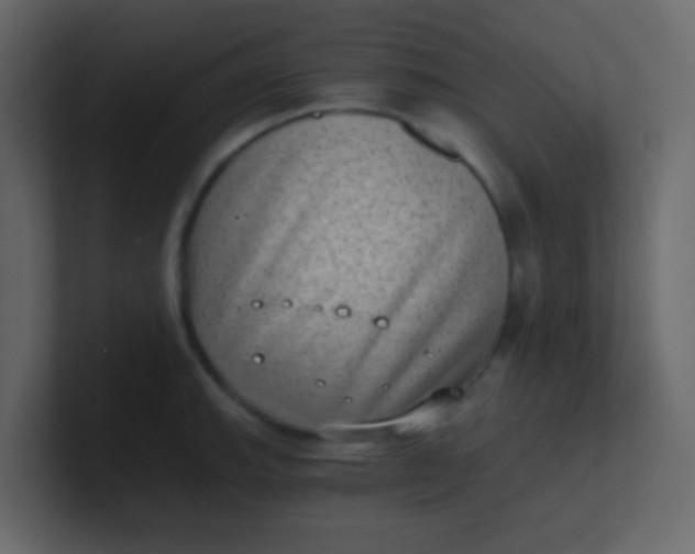X0000101111143200807101503