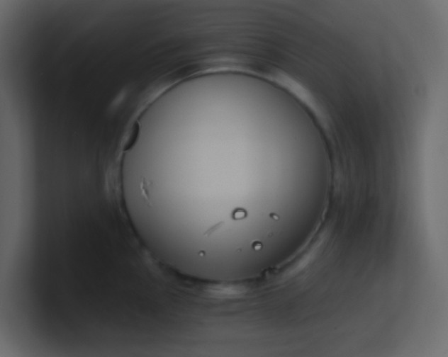 X0000101111145200807101503