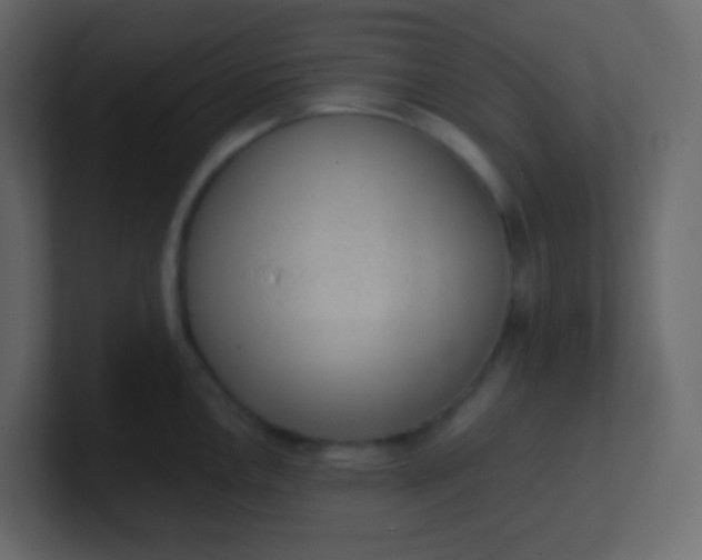 X0000101111146200807101503