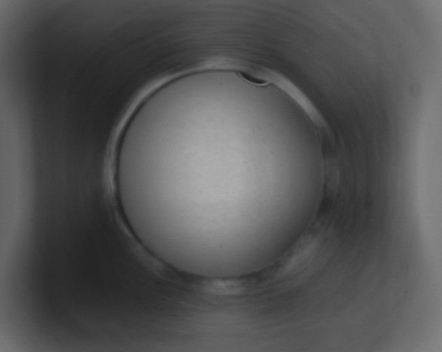 X0000101111148200807101503