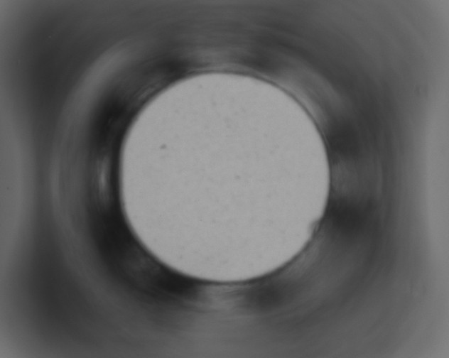 X0000101111150200807101503