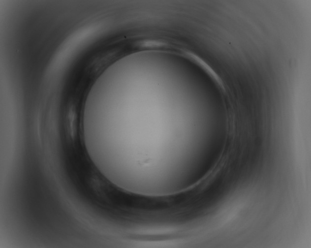 X0000101111151200807101503