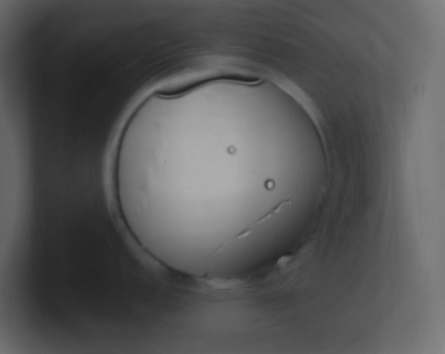 X0000101111152200807101503
