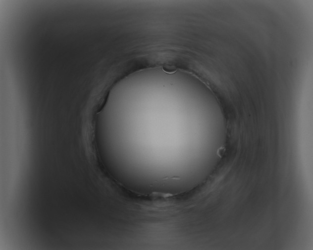 X0000101111153200807101503